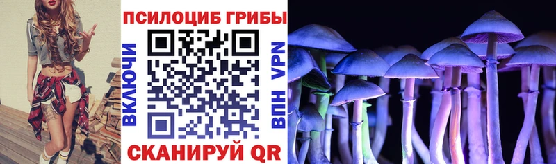 ОМГ ОМГ как войти  где продают   Магас  Псилоцибиновые грибы GOLDEN TEACHER 